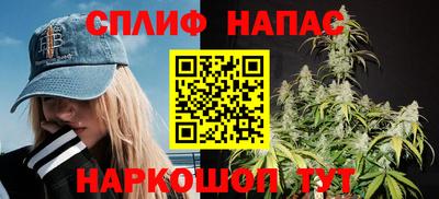 гашик Новодвинск