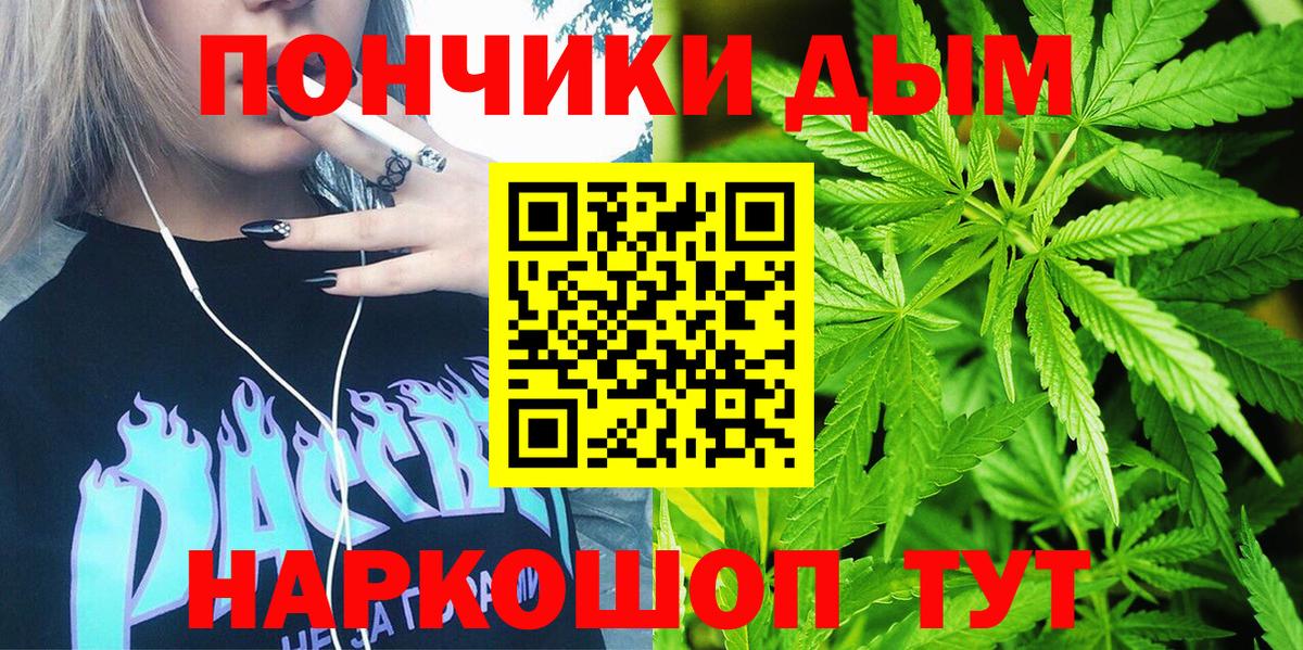 Бошки Шишки SATIVA & INDICA  Бошки Шишки MAZAR  Канабис VHQ  Вход с VPN  Славгород 